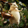 Three Little Mice. Bird In Distress Image