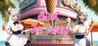 Sweet Ice-cream Image
