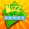 BLIZZ Words Image