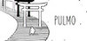 PULMO Image