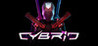 CYBRID Image