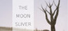 The Moon Sliver Image
