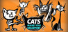 Cats Make You Smarter! Image