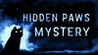 Hidden Paws Mystery Image