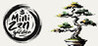 Mini Zen Garden Image