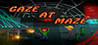 Gaze At Maze Image