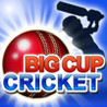 Big Cup Cricket Image