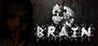 Brain