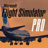 Flight Simulator Pro Image