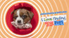 I Love Finding MORE Pups - Collector's Edition Image