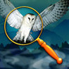Hideaways: Foggy Valley - Fun Seek and Find Hidden Object Puzzles Image