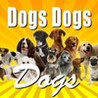 Dogs Dogs Dogs Image