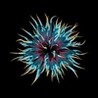 BLARP! Image