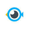 Bouncing Ball Bird Image