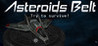 Asteroids Belt: Try to Survive! Image
