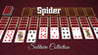 Spider Solitaire Collection Image