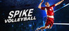 Spike Volleyball Image