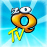 20Q: TV Image