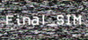 Final_SIM Image