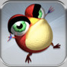 Crazy Toad HD Image