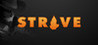 Strive Image