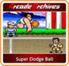 Arcade Archives: Super Dodge Ball Image