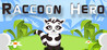 Raccoon Hero Image