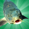 Carp Fishing Simulator Image