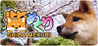 Shiba Mekuri Image
