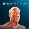 Human Anatomy VR Image