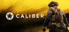 Caliber Image