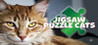 Jigsaw Puzzle Cats Image