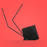 Daddy Long Legs Image