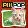 PixPop Cats Image