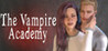 The Vampire Academy Image