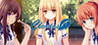 Cicadas - The IQA Edition Image