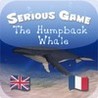 Humpback Whale Image