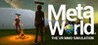 MetaWorld: The VR MMO Simulation Image