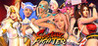 Costume Fighter Image