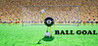 8 Ball Goal Image