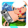 Naked Sheep Image
