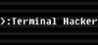 Terminal Hacker