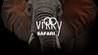 Virry Safari: Wild Encounters