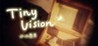 Tiny Vision