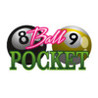 8 & 9 Ball Pocket