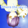 Wheretheskyis Image