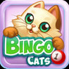 Bingo Cats Image
