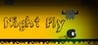 Night Fly Image