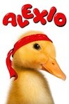 Alexio Image