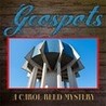 Geospots: A Carol Reed Mystery Image